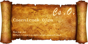 Csernicsek Olga névjegykártya